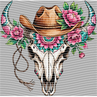 Country music-CM-713